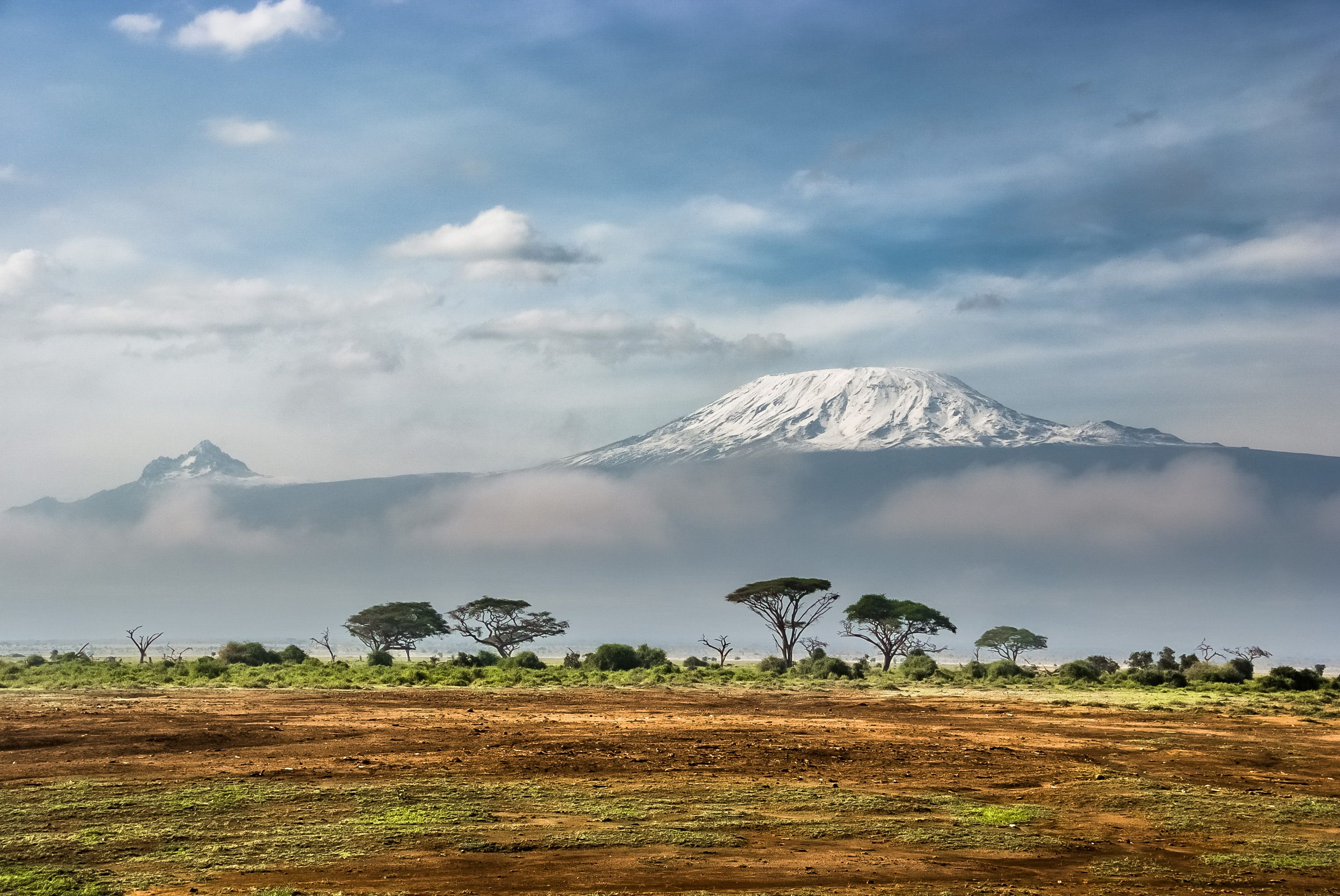 Safari África 2