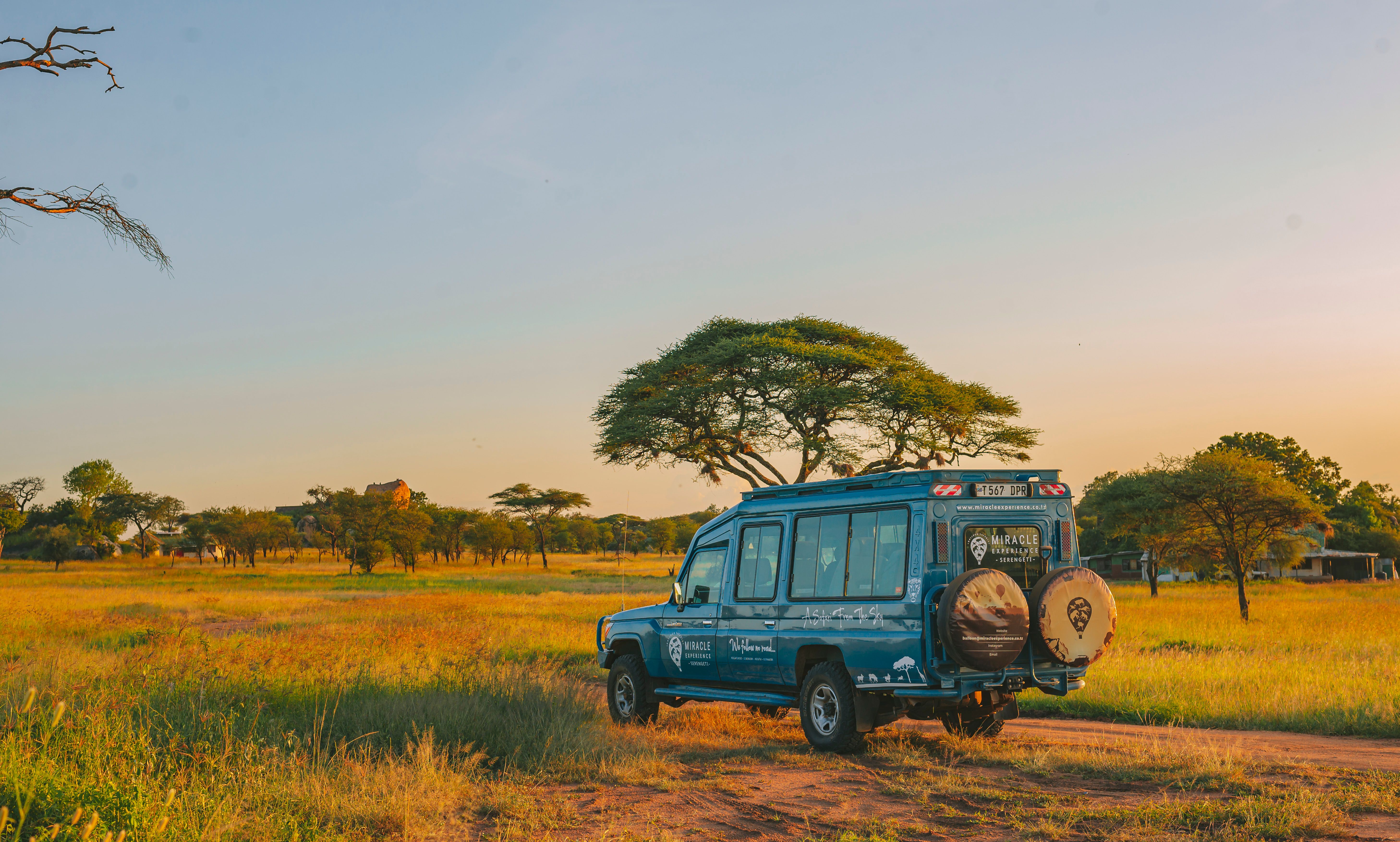 Safari África 4