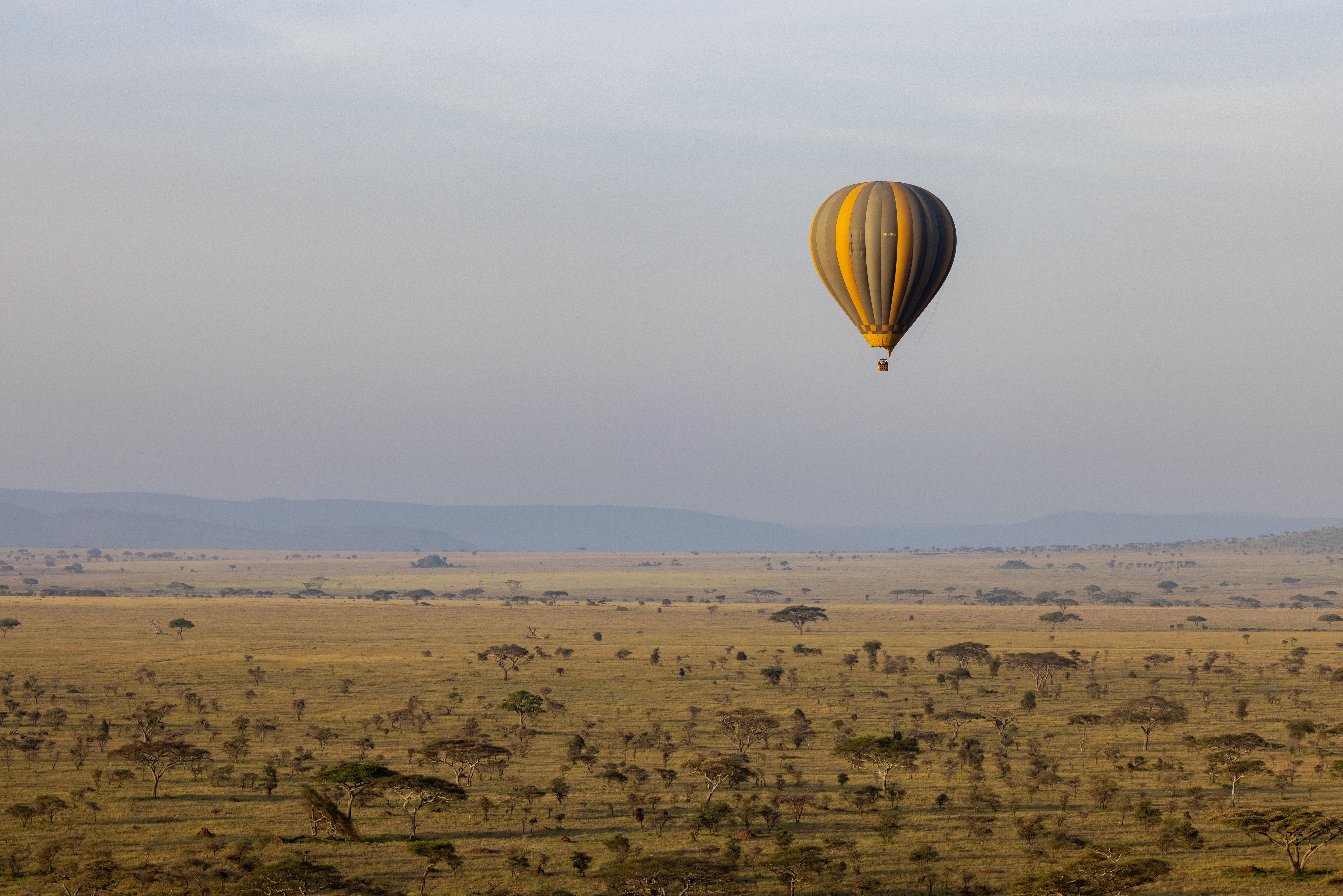 Safari África 5