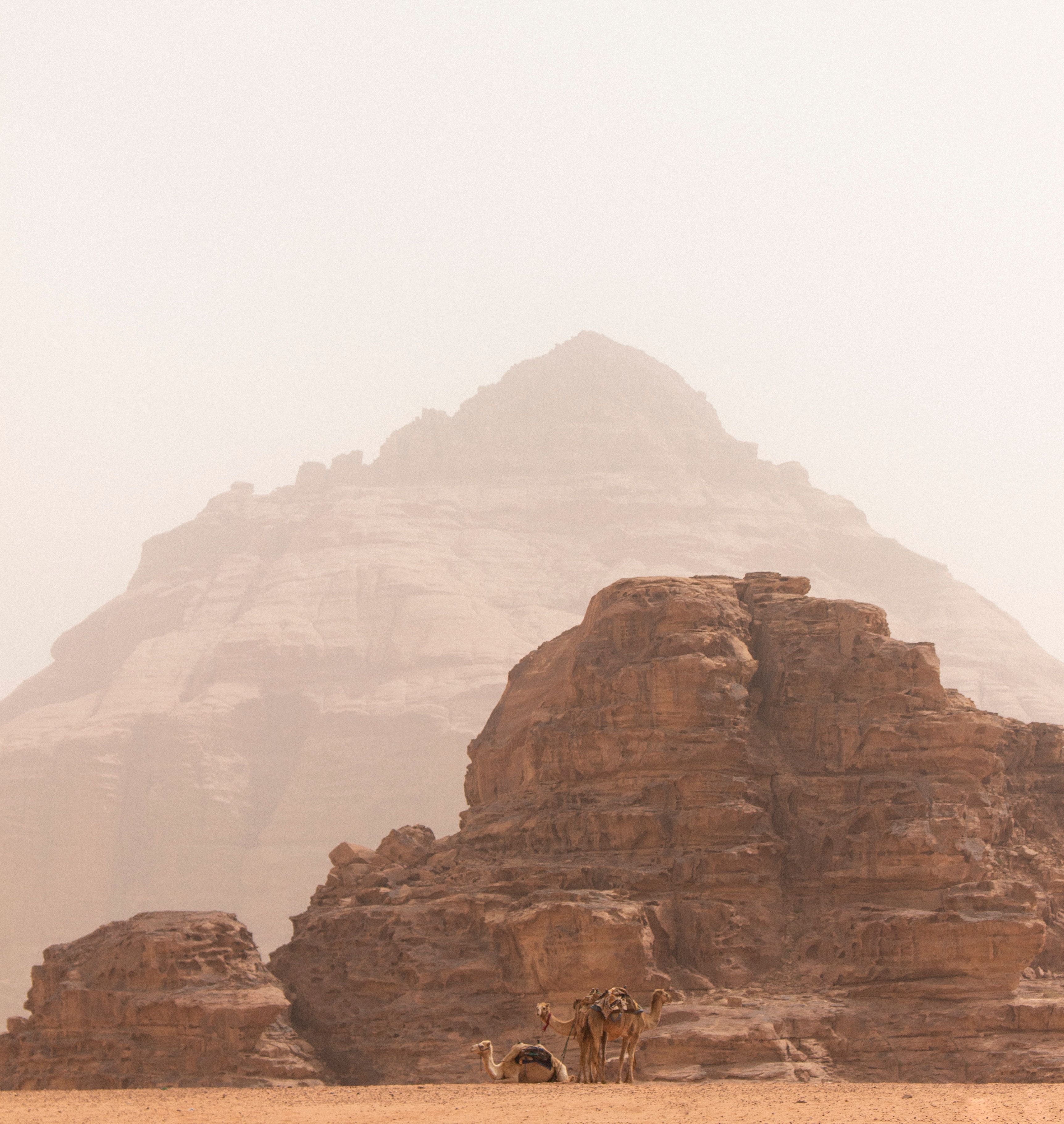 Arabia 1