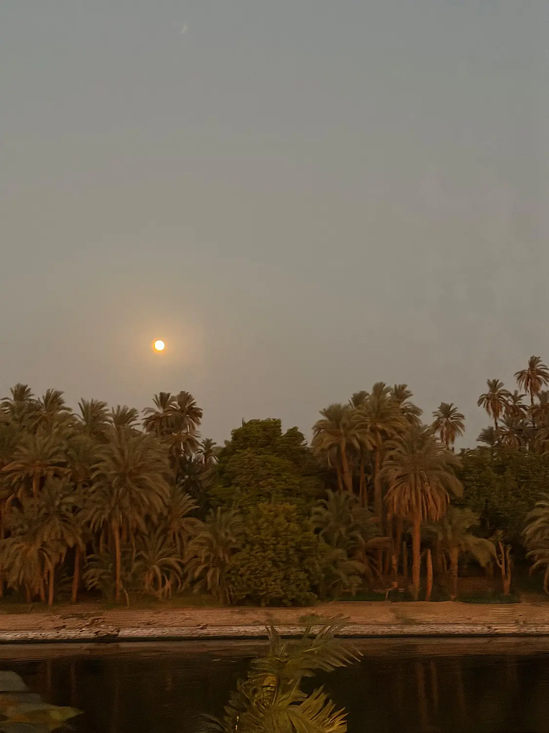 6. Entre Abu Simbel y Kom Ombo