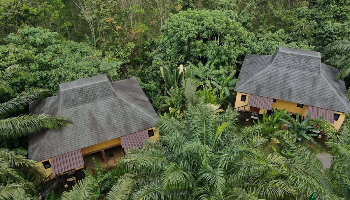 8. Adentrándonos en la jungla de Khao Sok