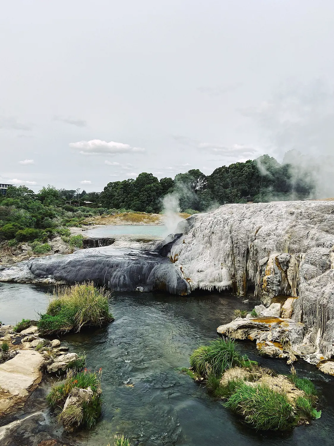 5. Rotorua