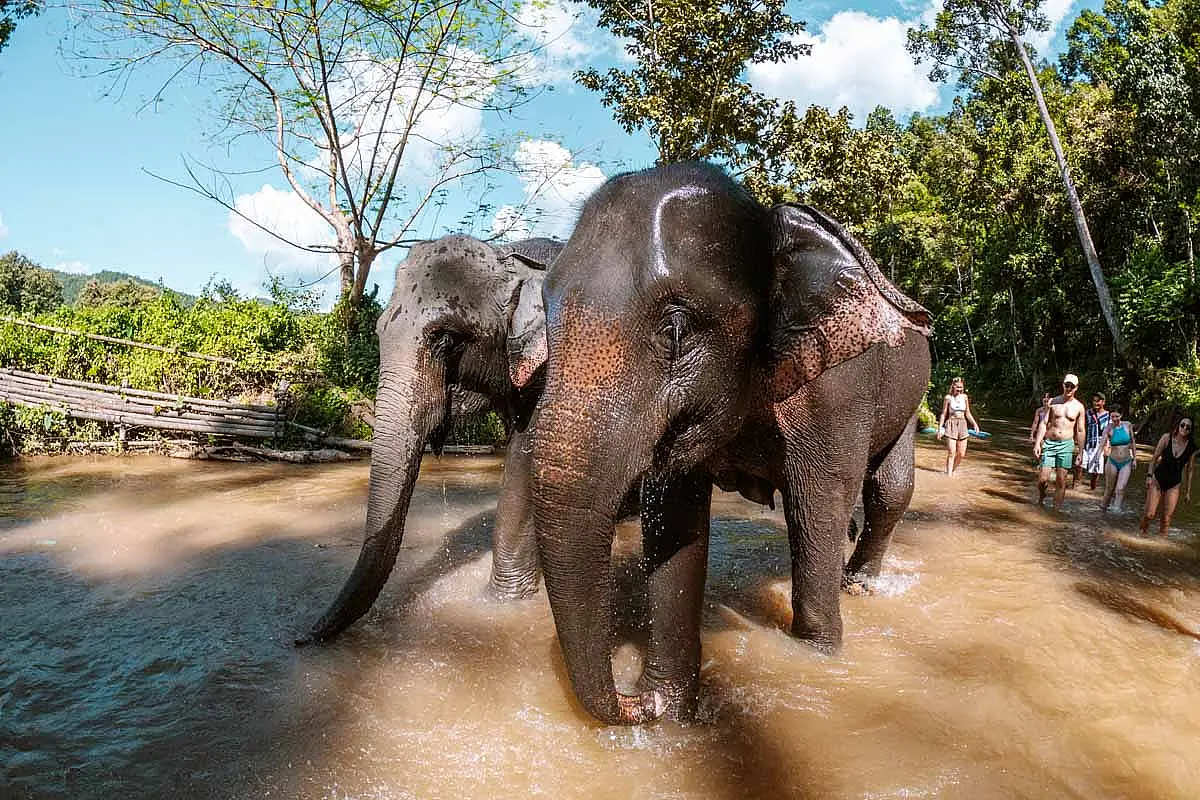 LIGHTS OF THAILAND